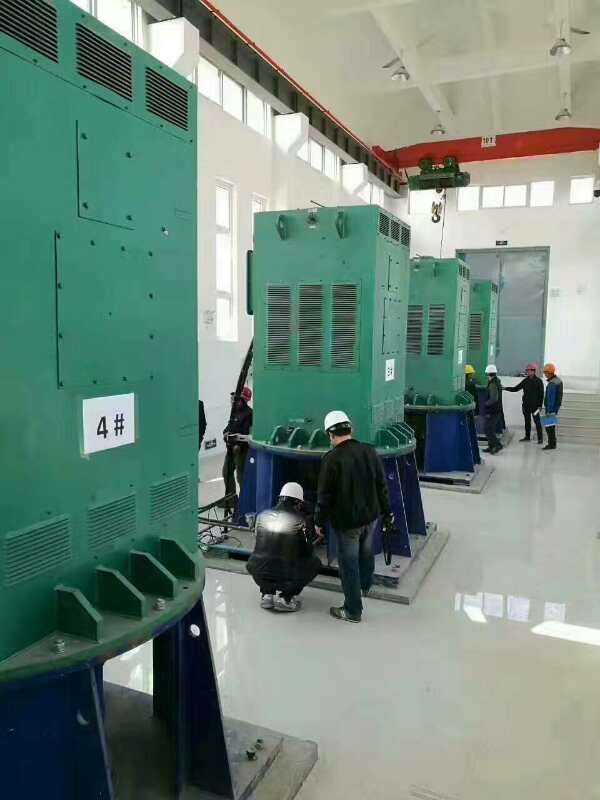 Y6303-12某污水处理厂使用我厂的立式高压电机安装现场