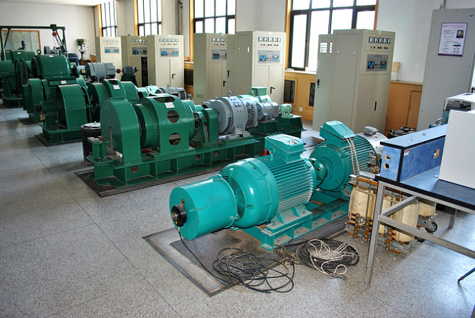 Y6303-12某热电厂使用我厂的YKK高压电机提供动力