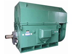 Y6303-12YKK系列高压电机